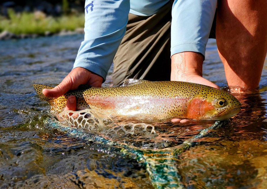 Upper Colorado River Fly Fishing, Camping, Boating - AllTrips