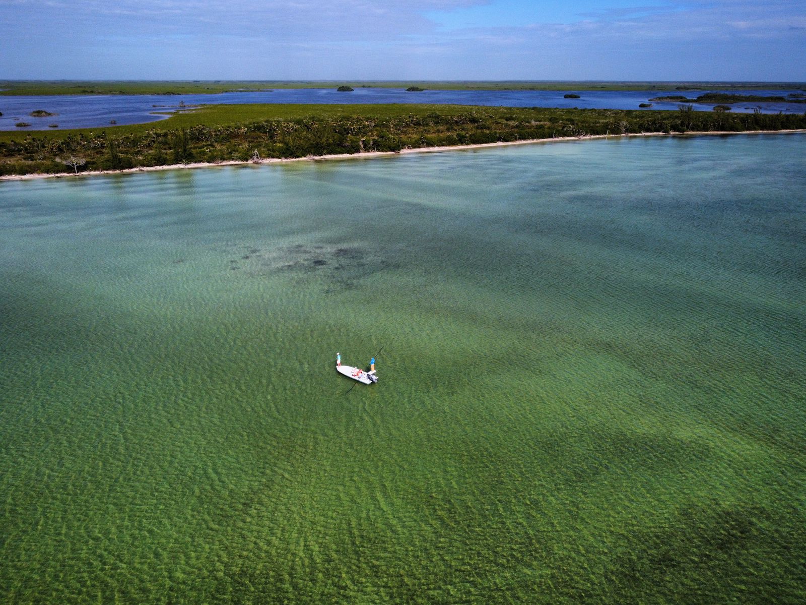 Espiritu Santo Bay Lodge Weekly Report - 2/03 - 2/10, 19