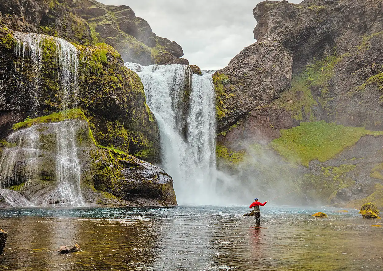 The Fly Shop Travel Image