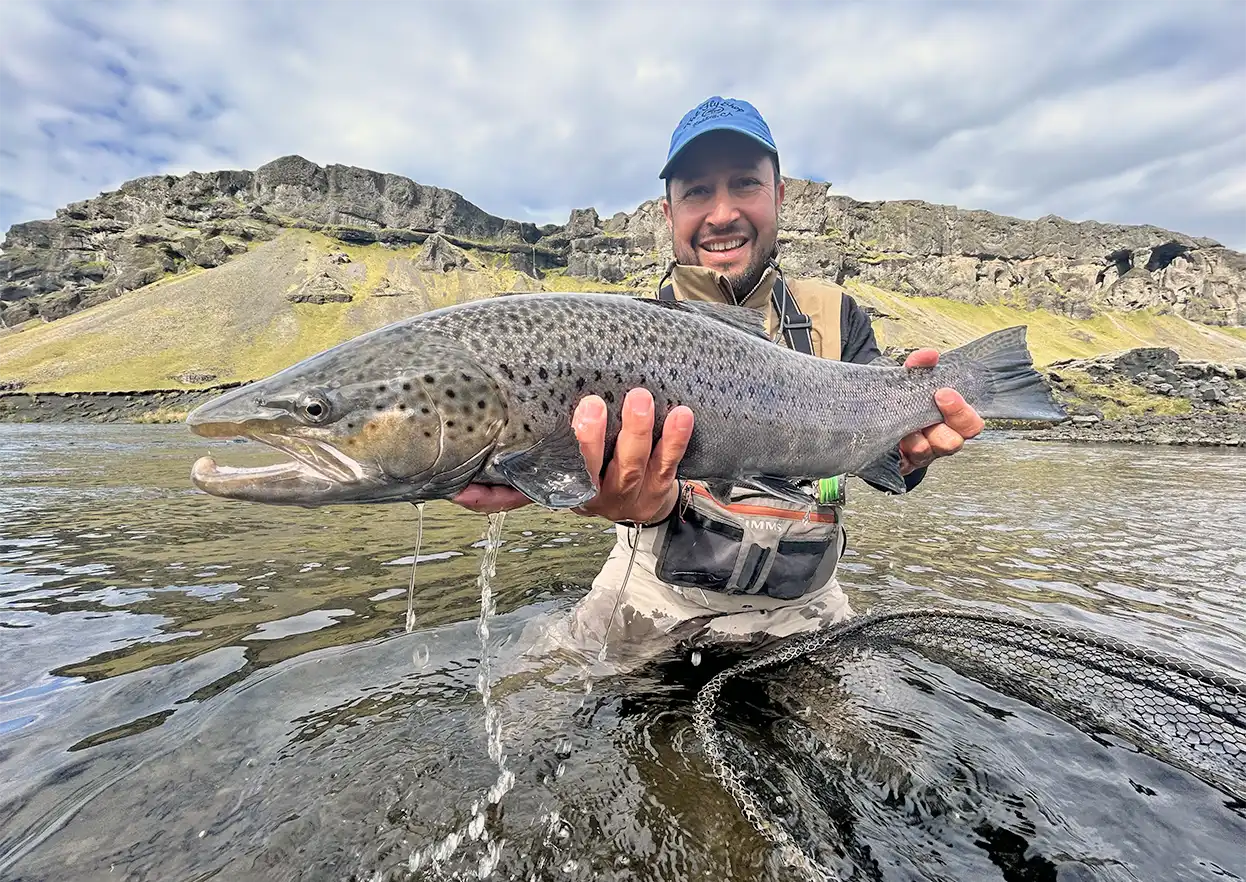 The Fly Shop Travel Image