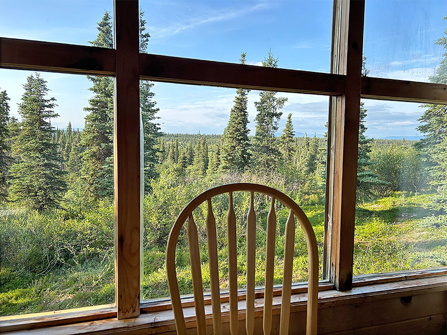 View of the beautiful forest from the cabin window at Royal Wolf Lodge
