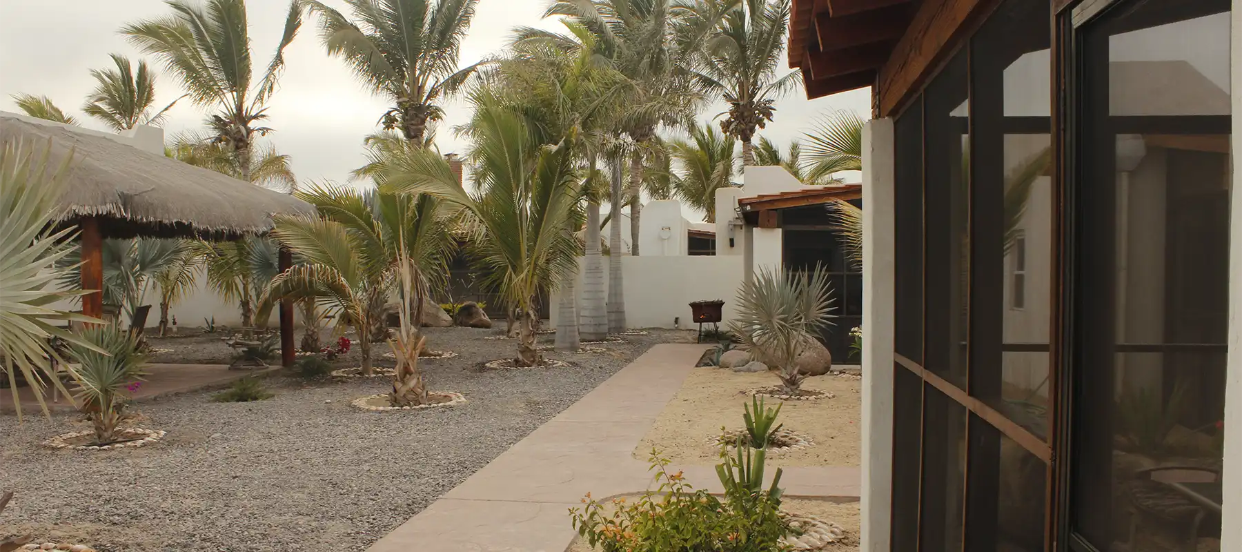 The Reel Baja at Magdalena Bay