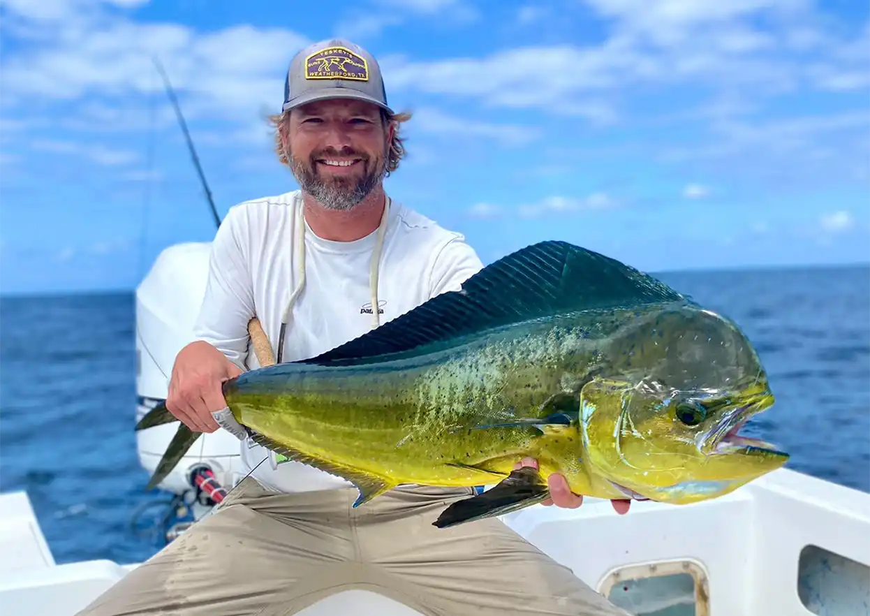 The Fly Shop Travel Image