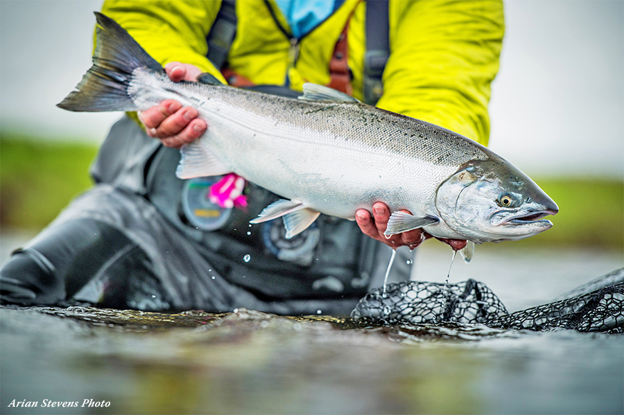Angler holding a silver salmon at Lava Creek Lodge