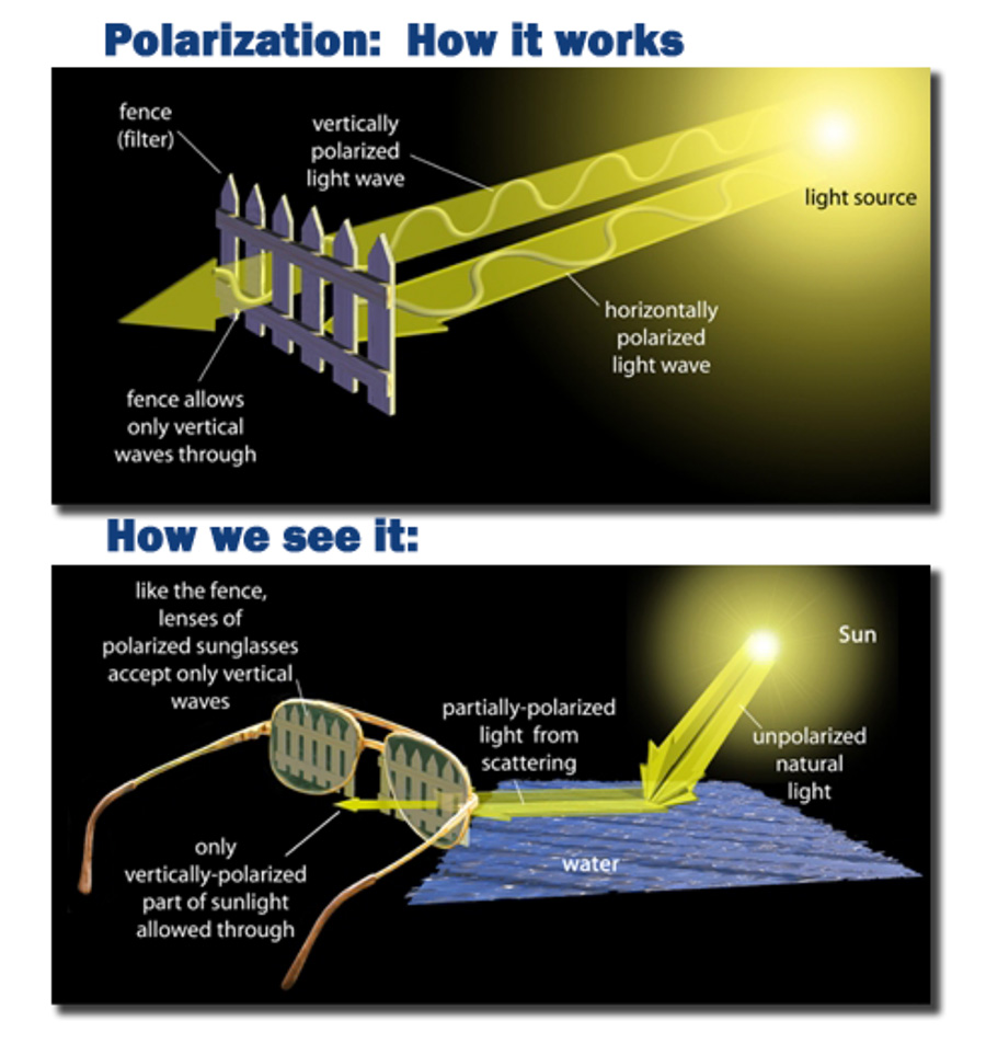 Chart showing how polarization works on sunglasses