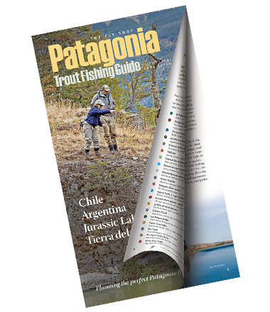 Patagonia Trout Fishing Guide