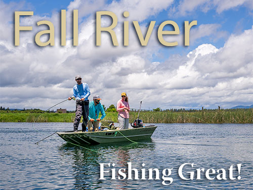Northern California - The Fly Shop - Stream Report