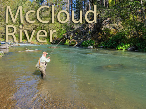 Northern California - The Fly Shop - Stream Report