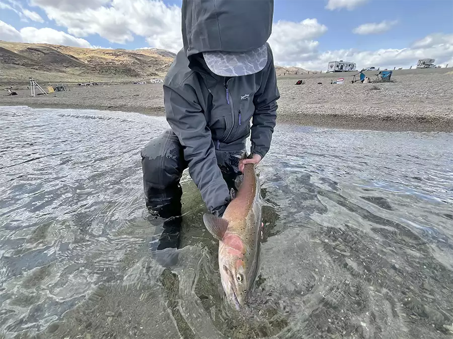 Joel holding a fish at Pyramid Lake