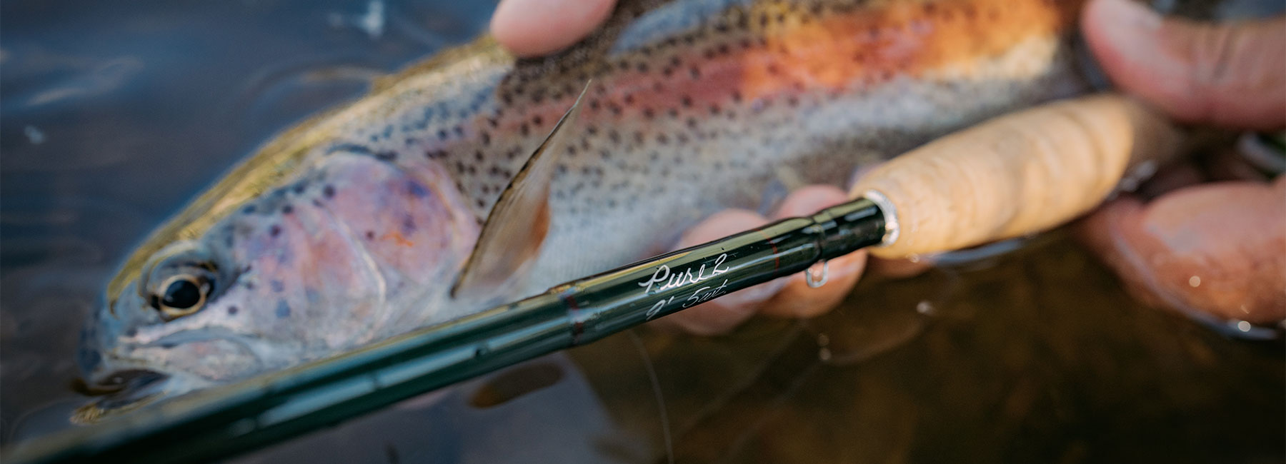 Winston Pure 2 Freshwater fly rod