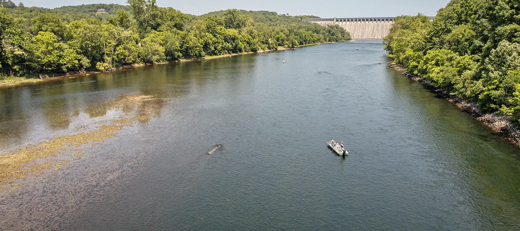 White River Trout Club