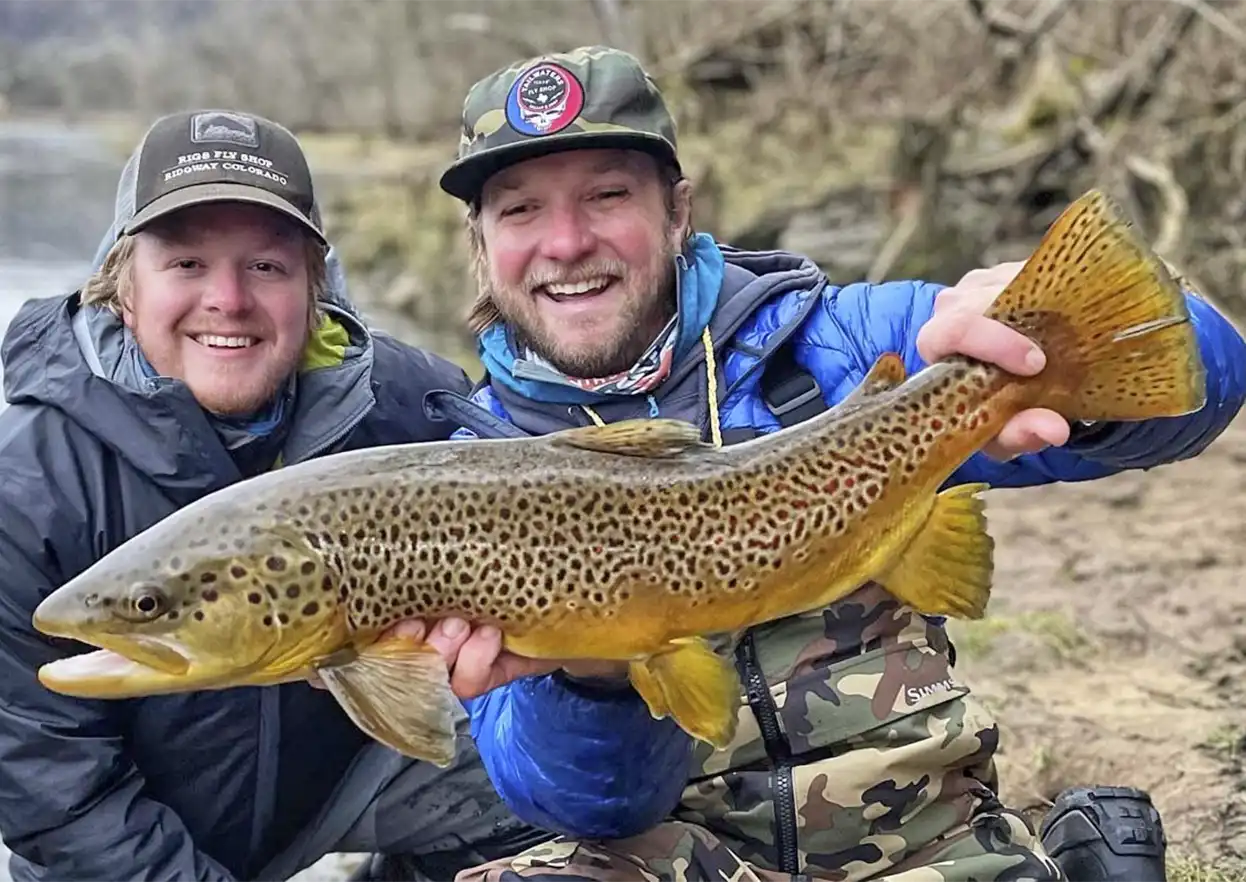 The Fly Shop Travel Image