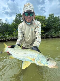 ESB Guide with Snook