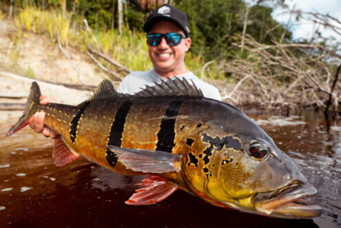 Rio Marie' Peacock Bass Week #15