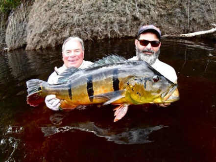 Rio Marie' Peacock Bass Week #16
