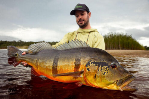 Rio Marie' Peacock Bass Week #15