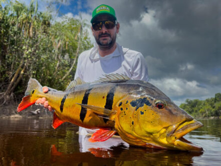 Rio Marie' Peacock Bass Week #16