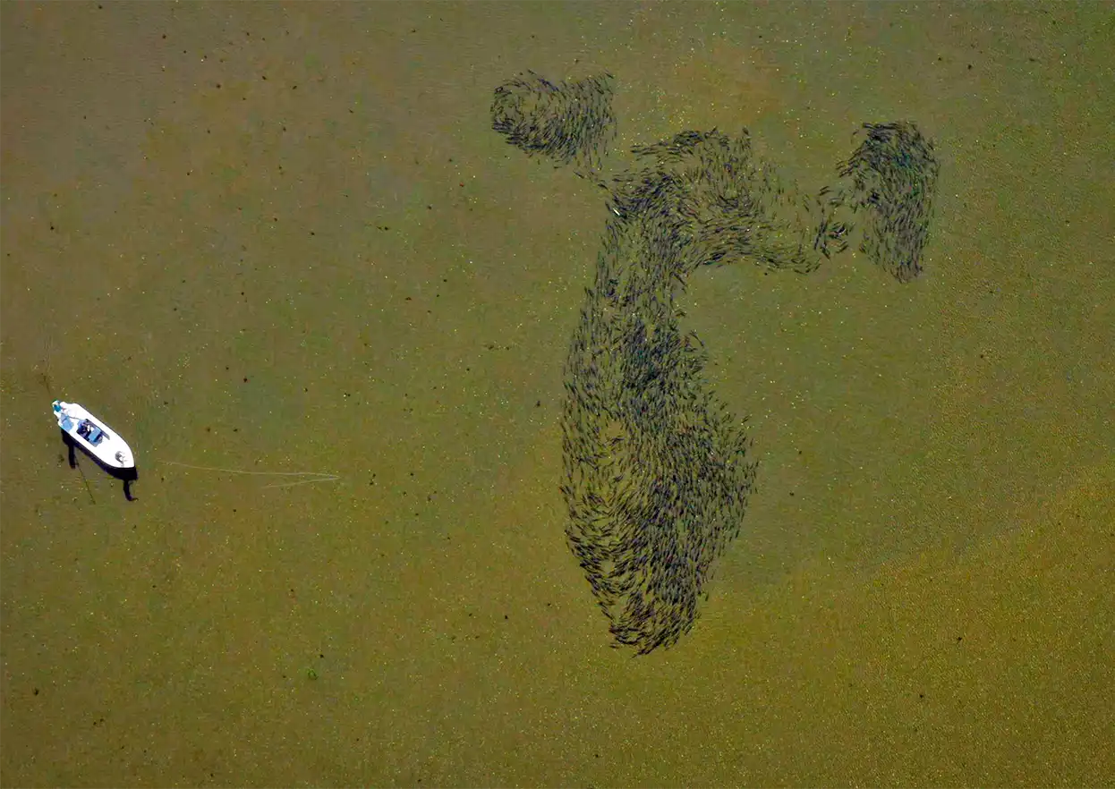 The Fly Shop Travel Image