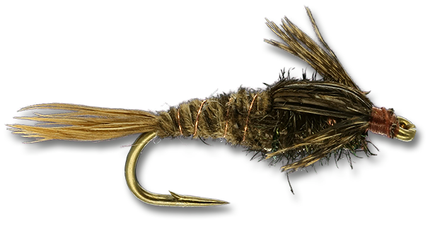 Pheasant Tail Nymph