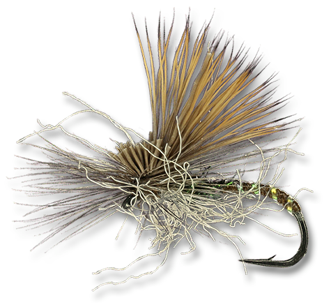 Mercer's Missing Link fly - Dark
