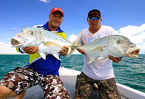 Australia Golden Trevally