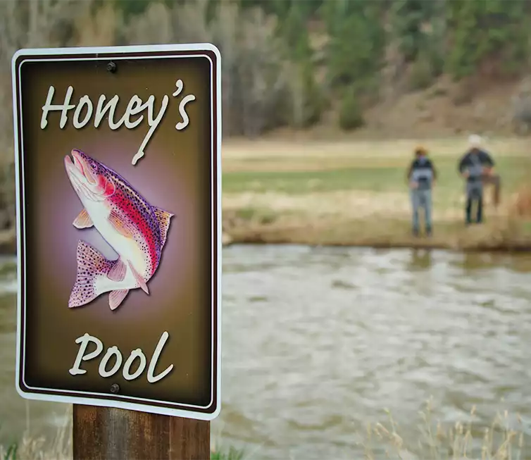 The Fly Shop Images