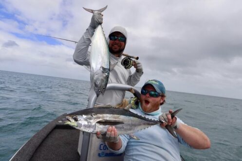 Australia Long Tail Tuna