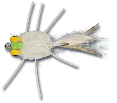 ESB Yellow Eye Raghead Crab