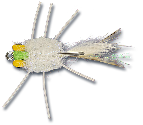 ESB Yellow Eye Raghead Crab