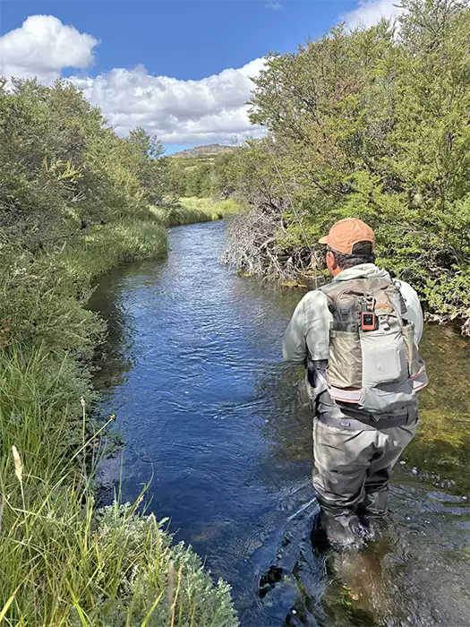Angler fishing the small, tree lined spring creek