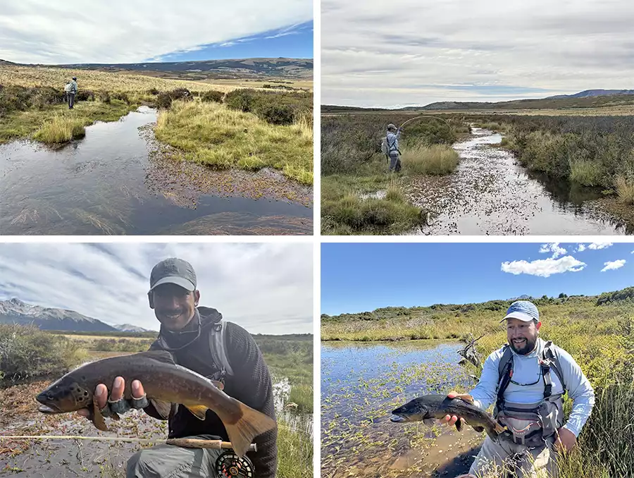 Anglers fishing and holding brown trout in Chile