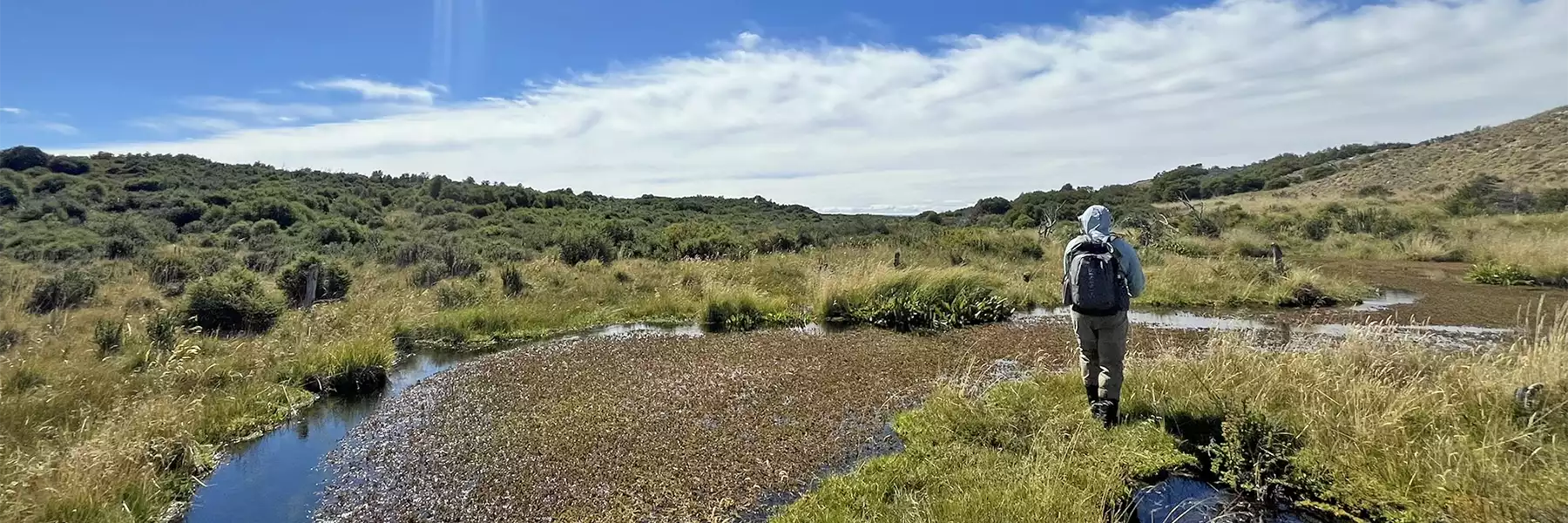 Angler fishing a spring creek at Estancia de Los Rios