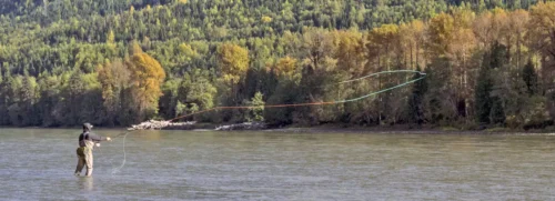 Angler wading and casting a Spey rod
