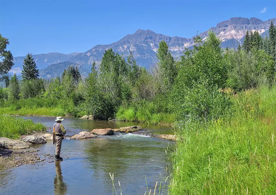 The Fly Shop Travel Image