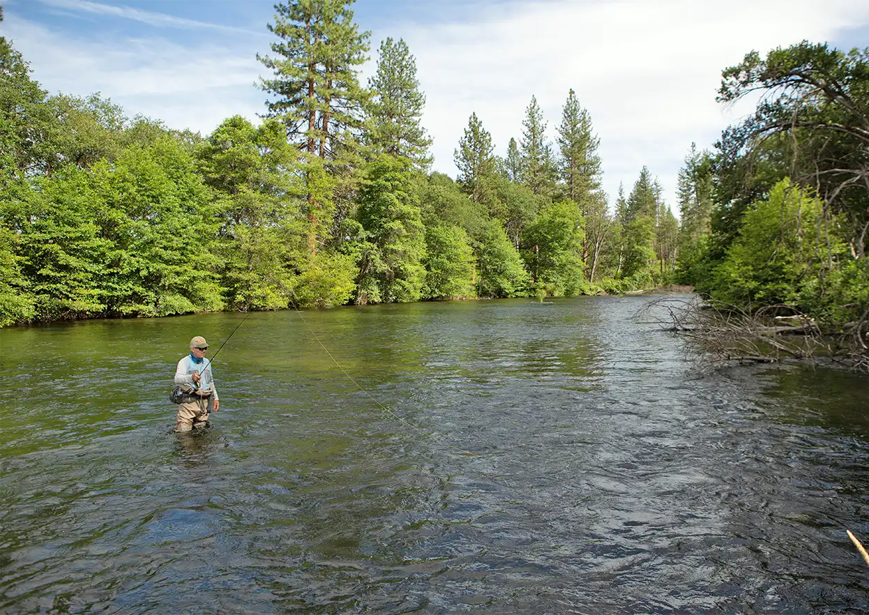 The Fly Shop Travel Image