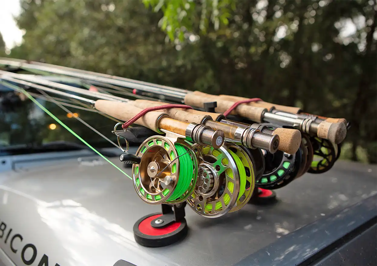 The Fly Shop Travel Image