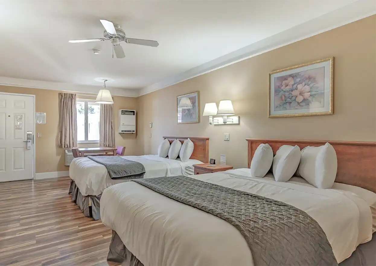 The Fly Shop Travel Image