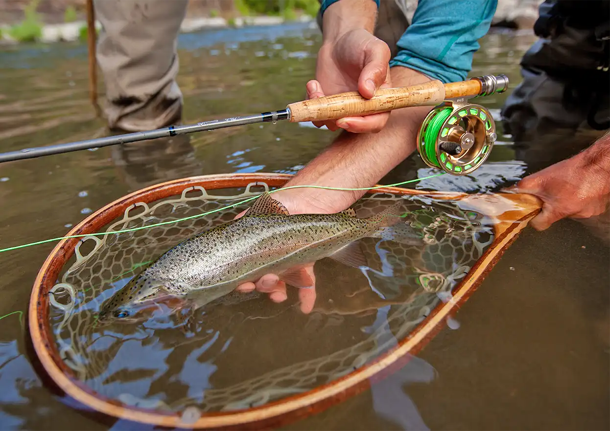 The Fly Shop Travel Image