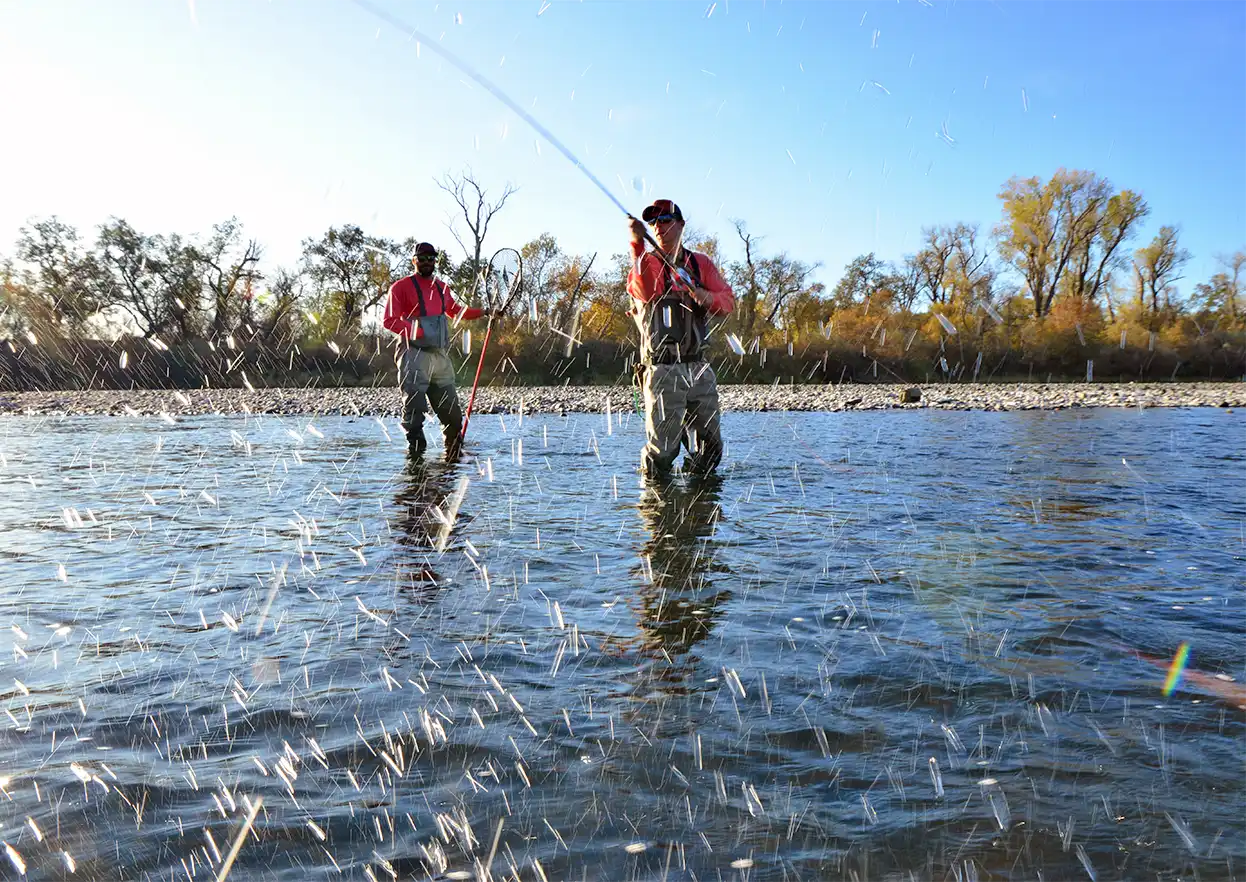 The Fly Shop Travel Image