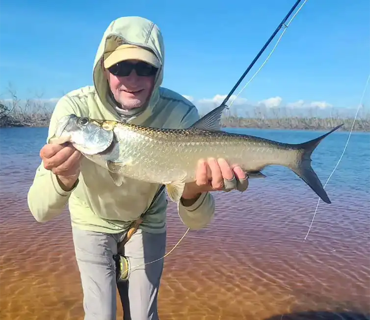 The Fly Shop Images