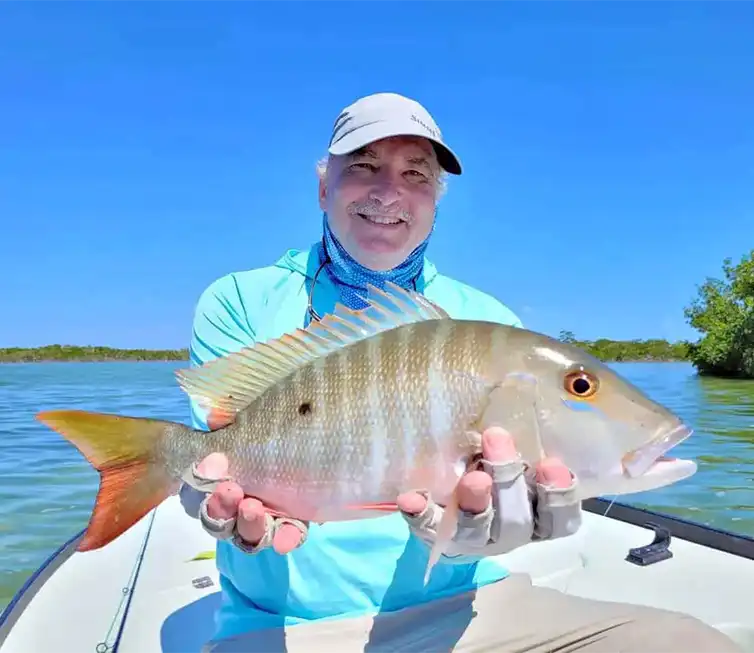 The Fly Shop Images