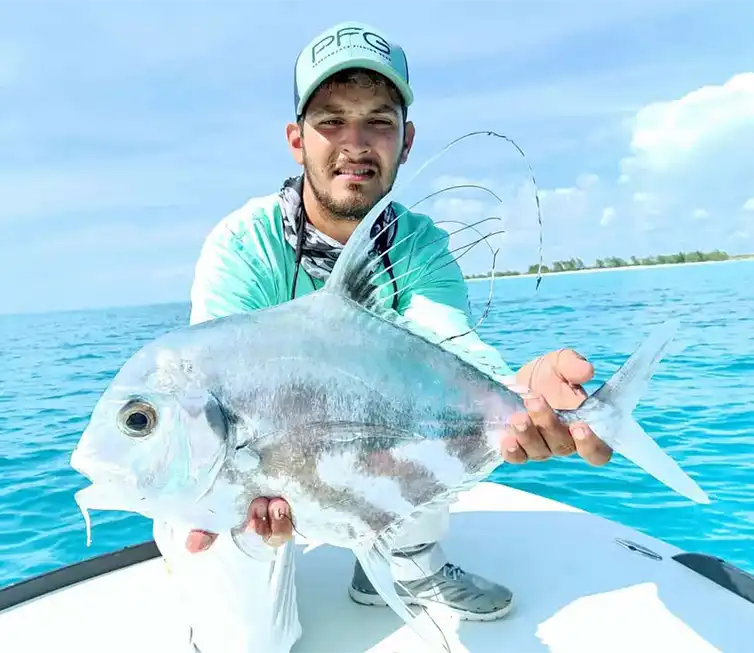 The Fly Shop Images