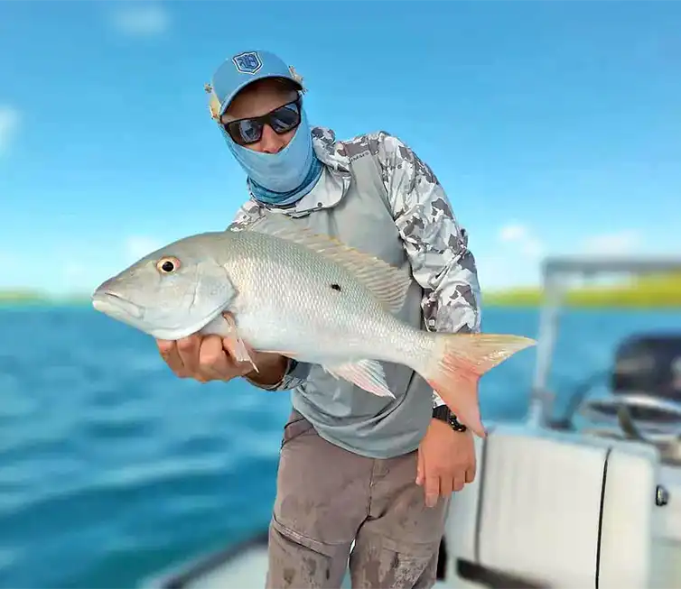 The Fly Shop Images