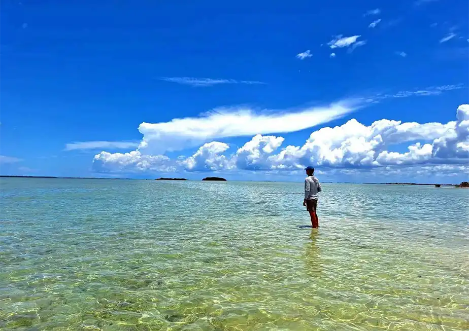 The Fly Shop Travel Image