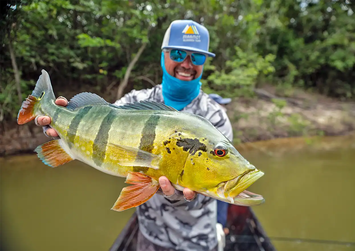 The Fly Shop Travel Image