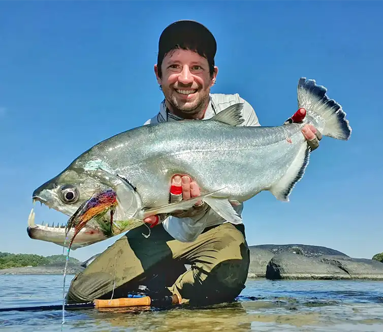 The Fly Shop Images