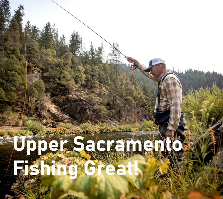 Northern California - The Fly Shop - Stream Report