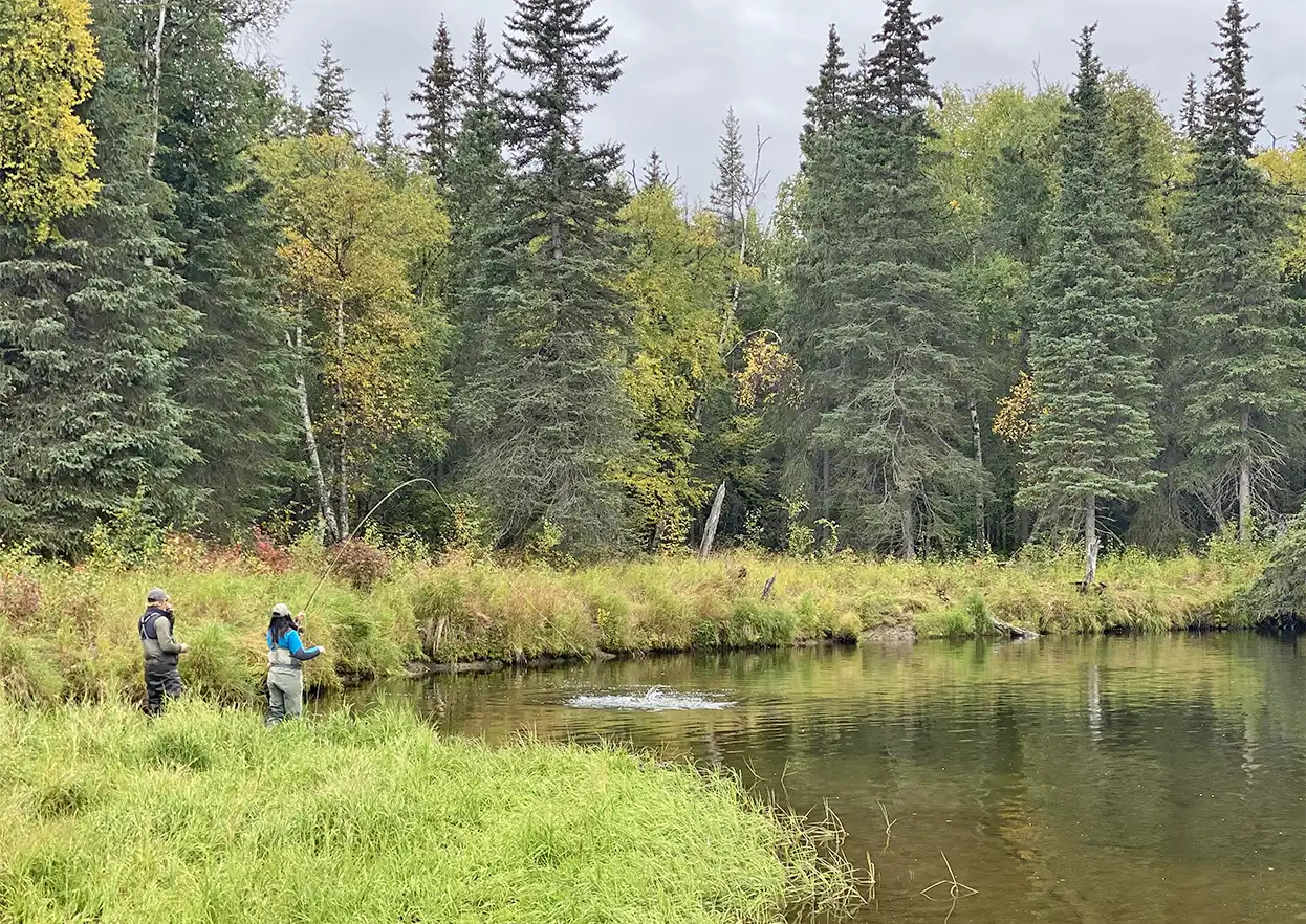 The Fly Shop Travel Image