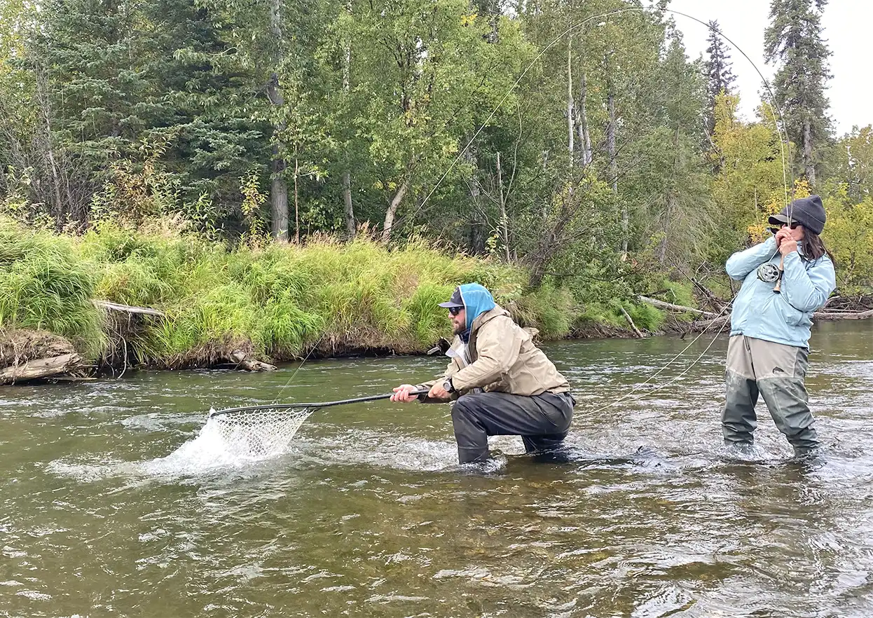 The Fly Shop Travel Image