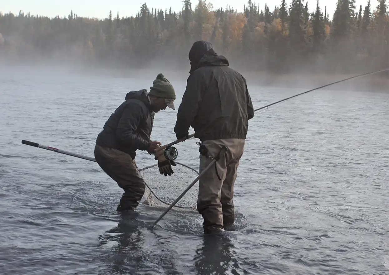 The Fly Shop Travel Image